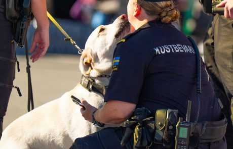 Kustbevakning med hund.